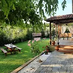 Vintage Nikiti (Sithonia)