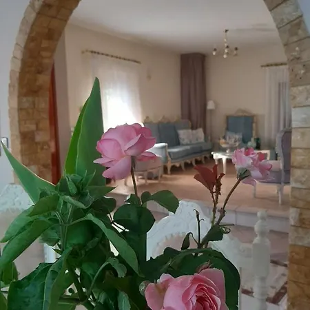 Vintage Vakantiehuis Nikiti (Sithonia)