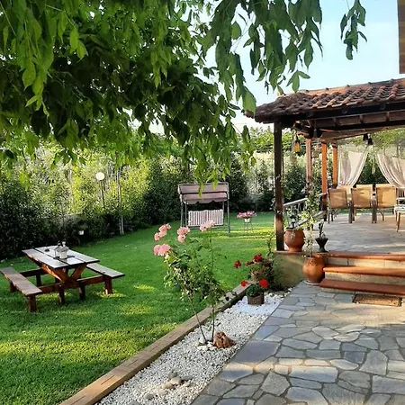 Vintage Nikiti (Sithonia)