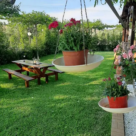 Vintage Holiday home Nikiti (Sithonia)