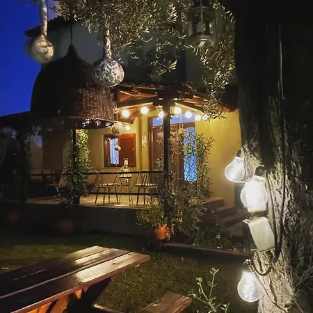 Vintage بيت للعطل