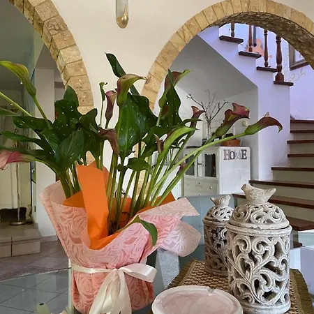 Tatil Evi Vintage Nikiti (Sithonia)