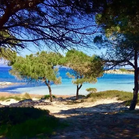 Vintage * Nikiti (Sithonia)