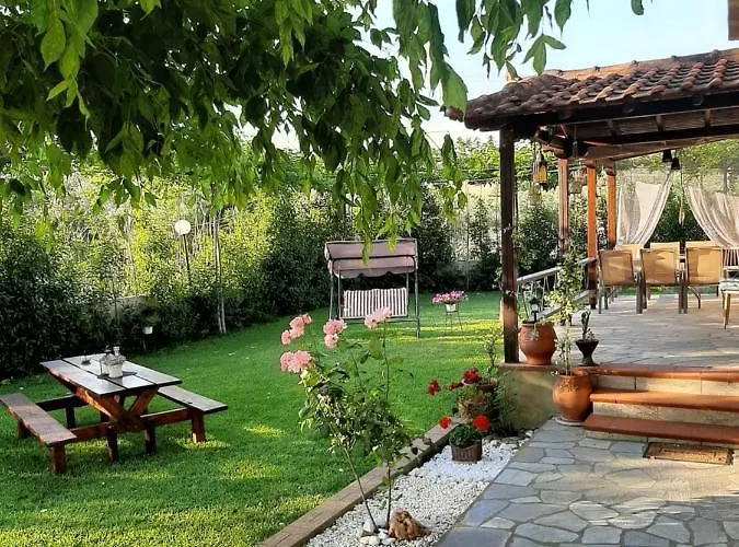 Vintage Nikiti (Sithonia)